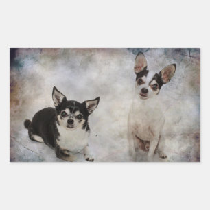 Portrait von zwei Chihuahuahuas Rechteckiger Aufkleber