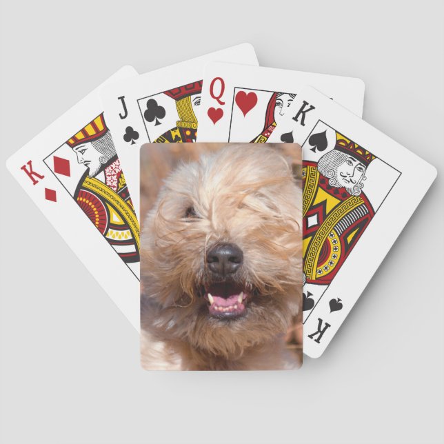 Portrait "Weichkalotte" Spielkarten (Rückseite)