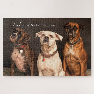 Portraitfoto von 3 niedlichen Boxerhunden. Puzzle