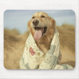 Portraithund am Strand unter Steg. Fall Mousepad