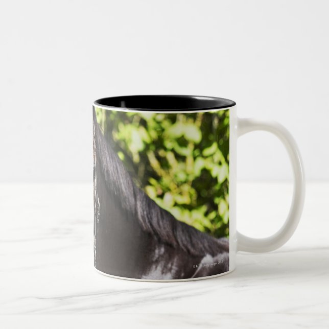 Porträt braunen Pferds 2 Zweifarbige Tasse (Rechts)