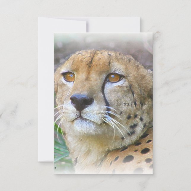 Porträt der Cheetah (Vorderseite)