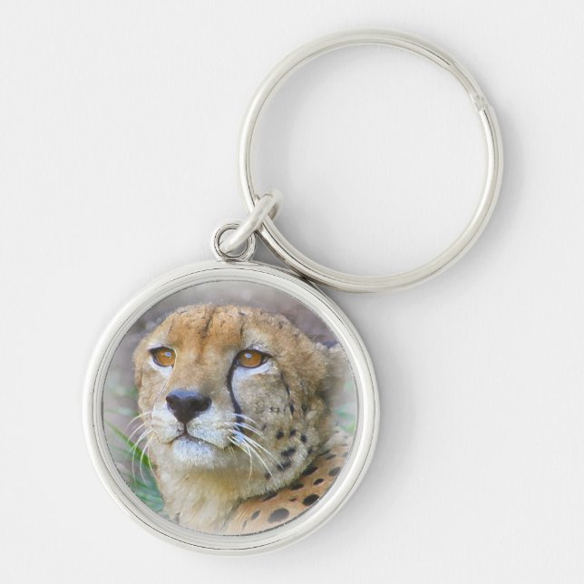 Porträt der Cheetah Schlüsselanhänger (Vorne)