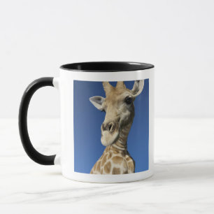 Porträt der Giraffe (Giraffa Camelopardalis) 2 Tasse