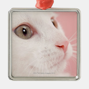 Porträt der Katze Silbernes Ornament