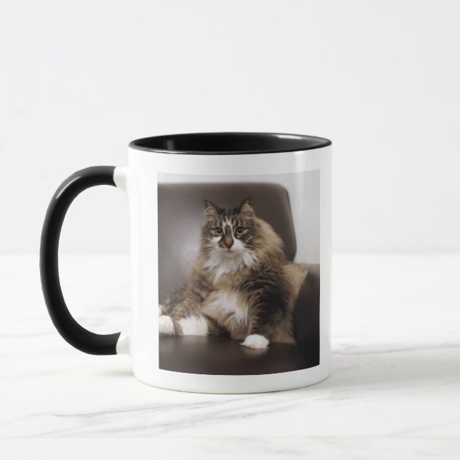 Porträt der Katze sitzend im Stuhl Tasse (Links)