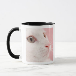 Porträt der Katze Tasse