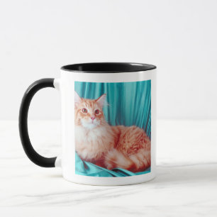 Porträt der Katze Tasse