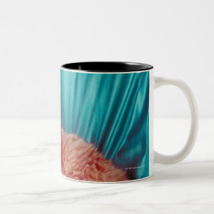 Porträt der Katze Zweifarbige Tasse