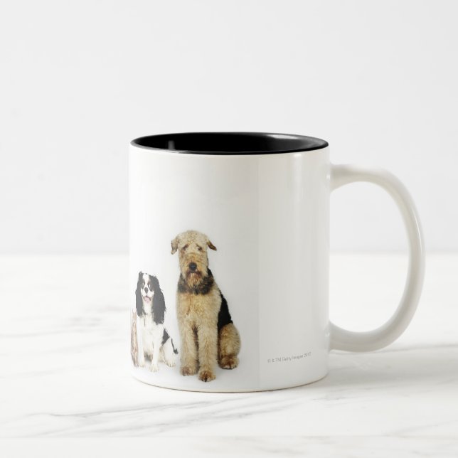 Porträt der Katzen und der Hunde, die zusammen Zweifarbige Tasse (Rechts)