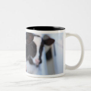 Porträt der Kuh Zweifarbige Tasse
