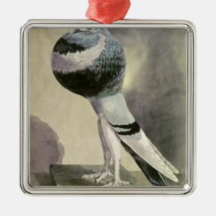 Porträt der Pouter-Taube Ornament Aus Metall
