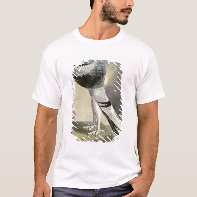 Porträt der Pouter-Taube T-Shirt (Vorderseite)