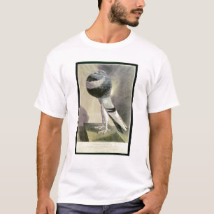 Porträt der Pouter-Taube T-Shirt