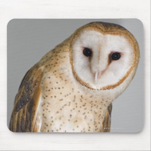 Porträt der Schleiereule (Tyto alba). Mousepad