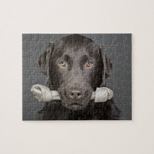 Porträt der Schokolade Labrador Puzzle