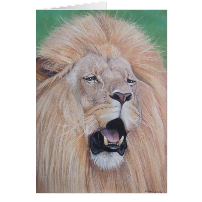 Porträt der wild lebenden Lion-Katze (Vorne)