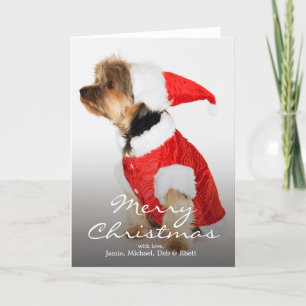 Porträt der Yorkshire-Terrier-tragenden Feiertagskarte