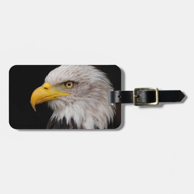 Porträt des Adlers Gepäckanhänger (Vorderseite horizontal)