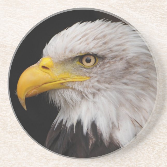 Porträt des Adlers Getränkeuntersetzer (Vorne)