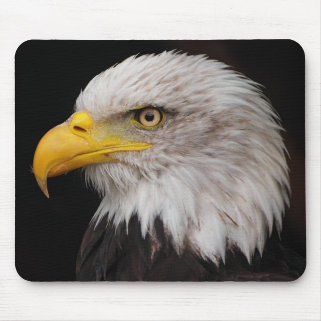 Porträt des Adlers Mousepad (Vorne)
