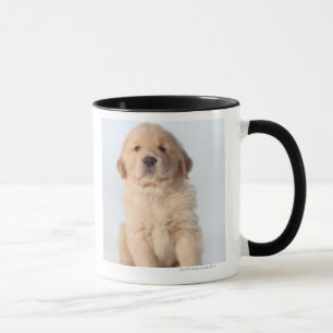 Porträt des alten golden tasse