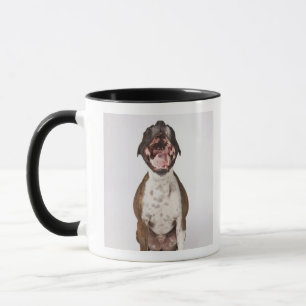 Porträt des Boxerhundes gähnend Tasse