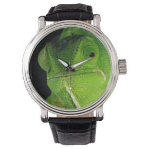 Porträt des flap-hals-chamäleons armbanduhr