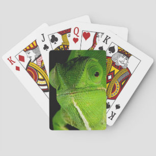 Porträt des flap-hals-chamäleons spielkarten