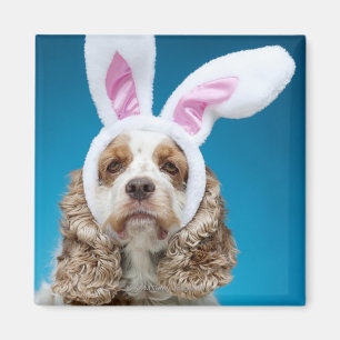 Porträt des Hundes Osterhasenohren tragend Magnet