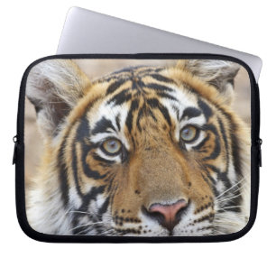 Porträt des königlichen Bengal-Tigers, Ranthambhor Laptopschutzhülle