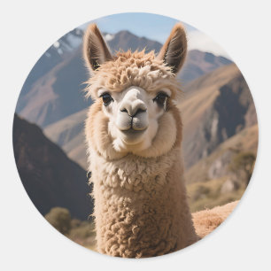 Porträt des neugierigen Lamas am Berg Runder Aufkleber
