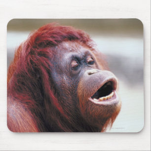 Porträt des Orang-Utans Mousepad