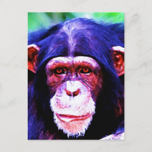 Porträt des Schimpansen Postkarte
