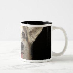 Porträt des schwarzen, braunen und weißen Corgi Zweifarbige Tasse