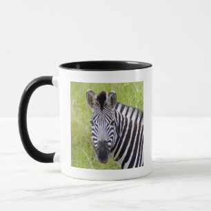 Porträt des Steppenzebras, Hluhluwe-Umfolozi-Wildr Tasse