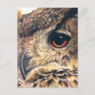 Porträt einer Adlereule Postkarte