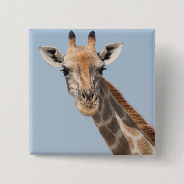 Porträt einer angolanischen Giraffe Button (Vorderseite)