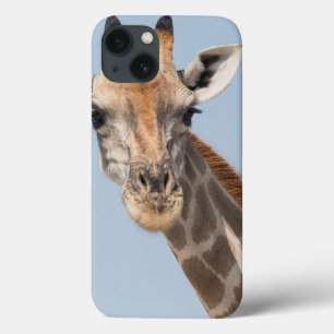Porträt einer angolanischen Giraffe Case-Mate iPhone Hülle