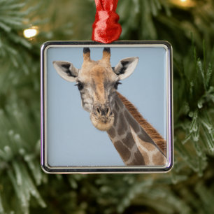 Porträt einer angolanischen Giraffe Ornament Aus Metall