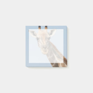 Porträt einer angolanischen Giraffe Post-it Klebezettel