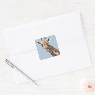 Porträt einer angolanischen Giraffe Quadratischer Aufkleber