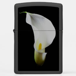 Porträt einer Calla-Lilie