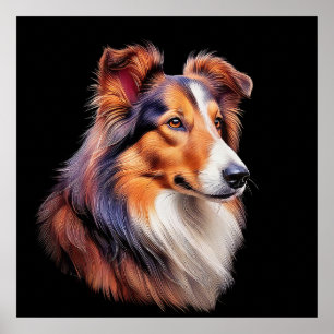 Porträt einer Collie Poster