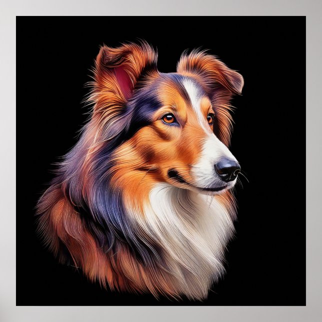 Porträt einer Collie Poster (Vorne)