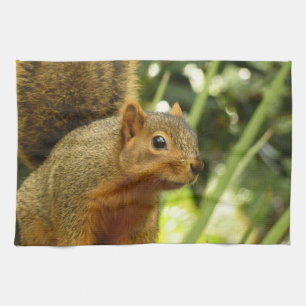 Porträt einer Eichhörnchennaturfotografie Geschirrtuch