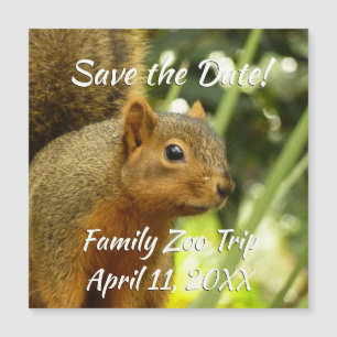 Porträt einer Eichhörnchennaturfotografie Magnetkarte