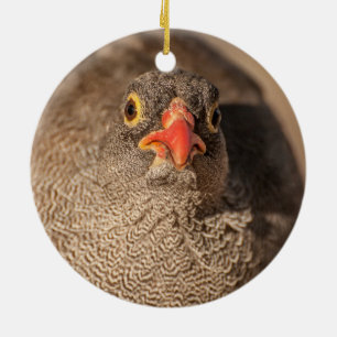 Porträt einer Grouse Keramik Ornament