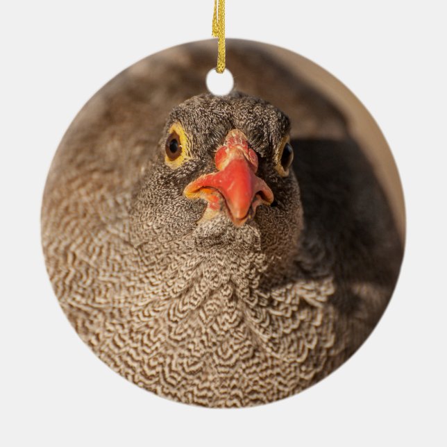 Porträt einer Grouse Keramik Ornament (Hinten)