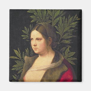 Porträt einer jungen Frau, 1506 Magnet